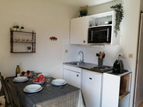 Studio confortable à Châtel - 4 pers, balcon, parking et WiFi - FR-1-198-237